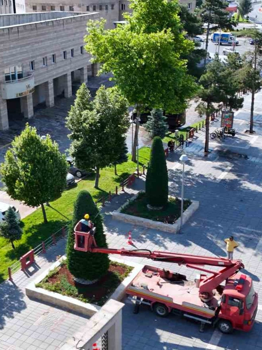Büyükşehirden kent estetiğine titiz dokunuş: Süs bitkilerine form budaması