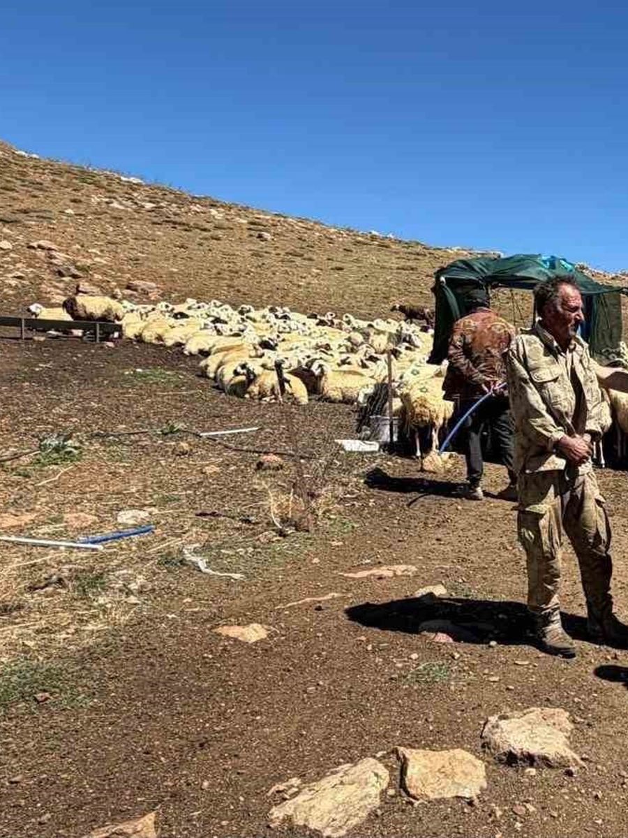 Pülümür yaylalarında göçer üreticilerin talepleri dinlendi