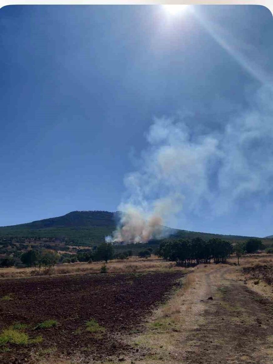 Eskişehir’de ormanlık alanda çıkan yangın kontrol altına alınmaya çalışılıyor