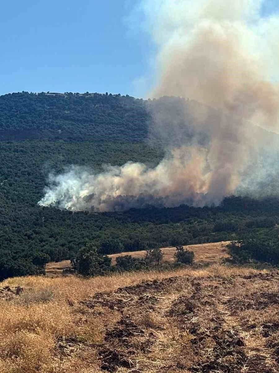 Mihalıççık’ta orman yangınına müdahale sürüyor