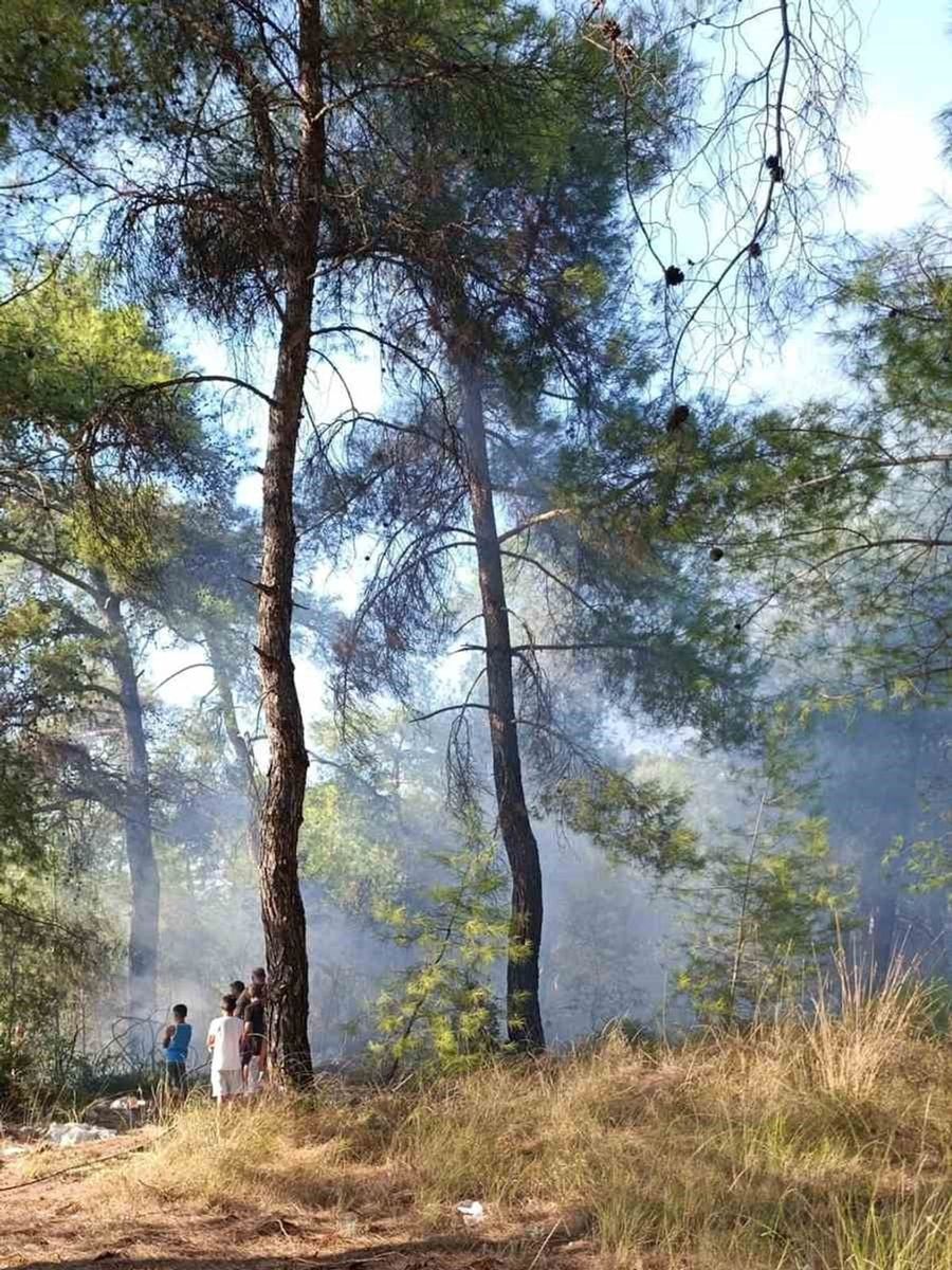 Köyceğiz’de orman yangınına erken müdahale