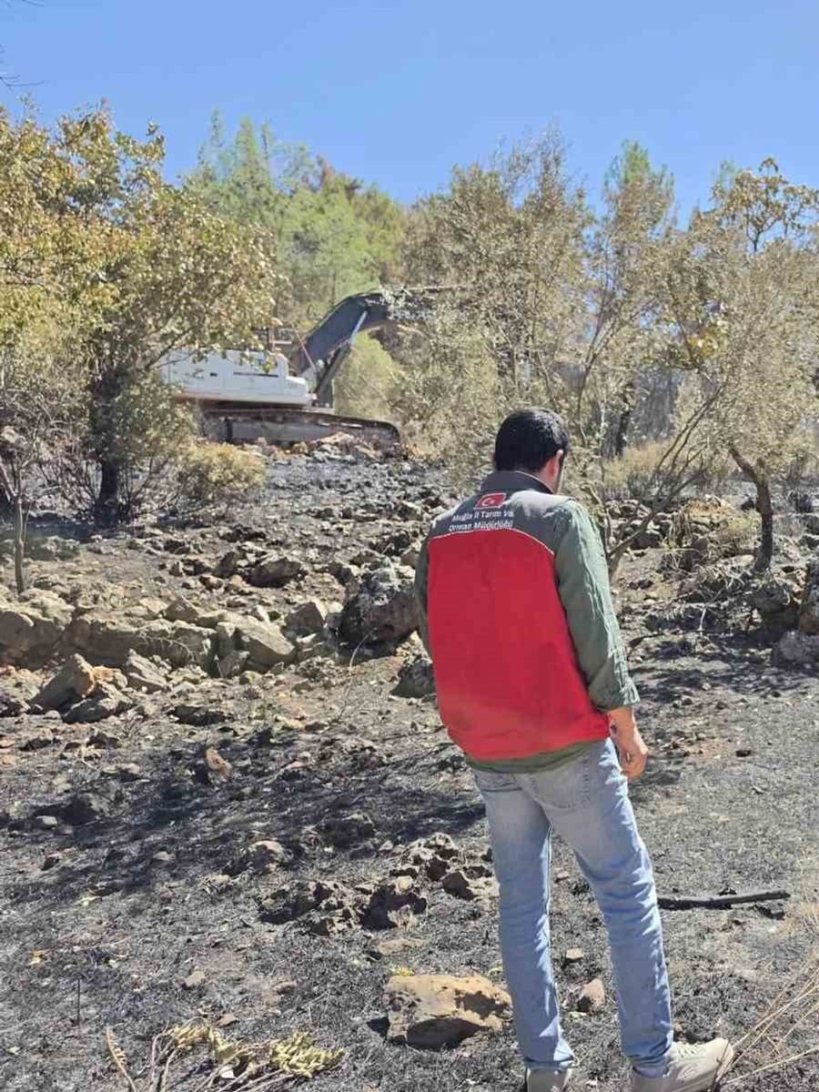Menteşe’de yangın sonrası tarım arazilerinde hasar tespit çalışmaları sürüyor