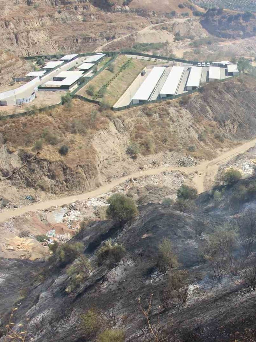 Ekiplerin hızlı müdahalesi can dostları ve hastaneyi yanmaktan kurtardı