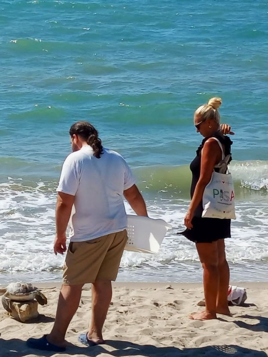 Kuşadası Körfezi’nde 4 deniz kaplumbağası ölü bulundu