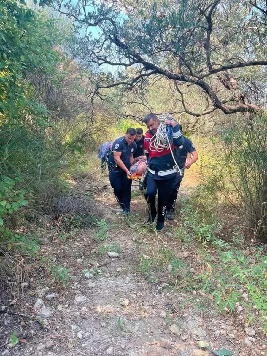 Defne’de ağaçtan düşen vatandaş yaralandı