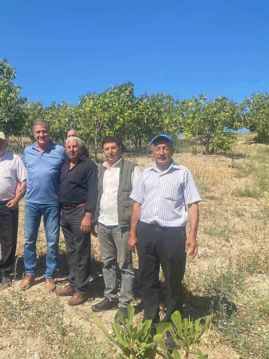 Kaymakam Arıkan, incir hasadına katıldı