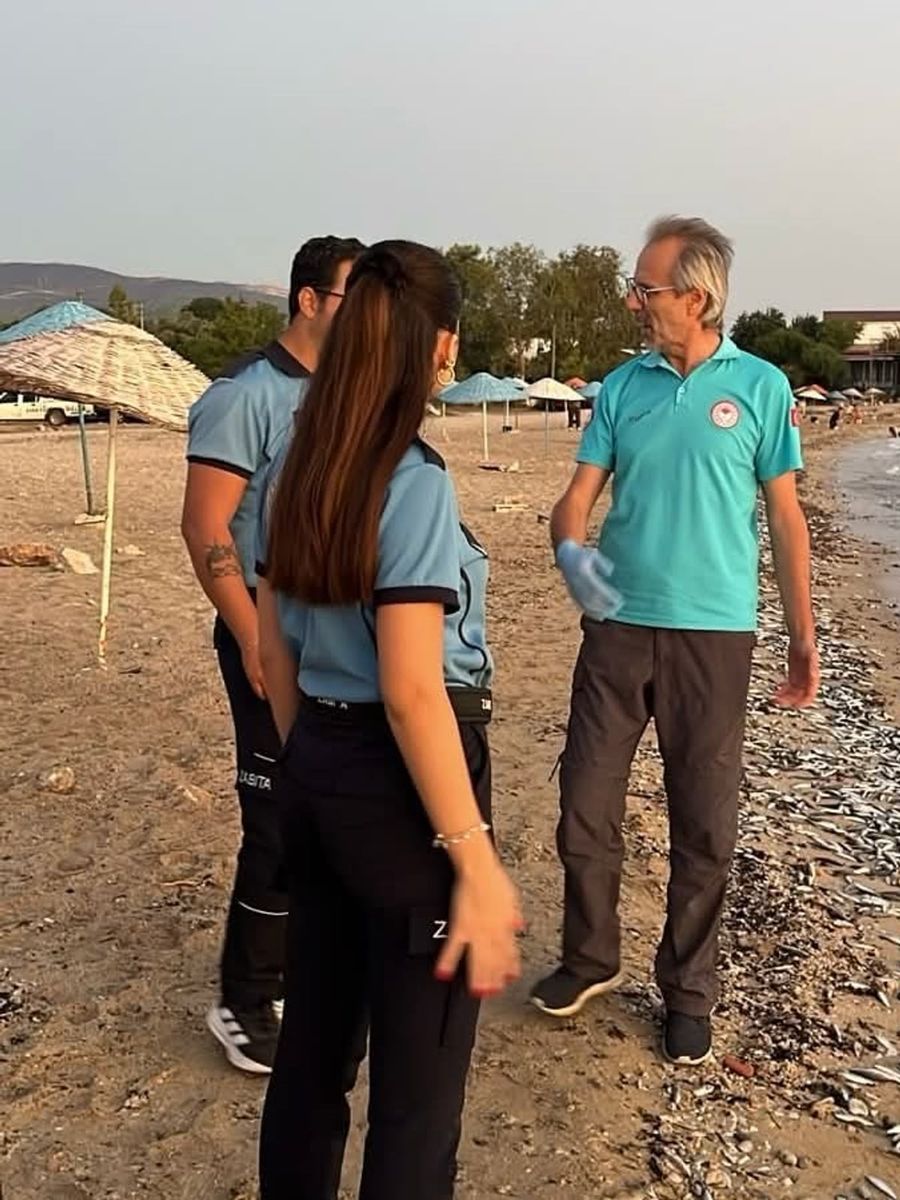 Bozbük İncekum Plajı’nda balık ölümleri inceleniyor