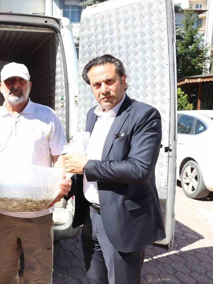 Sivas’ta yüzbinlerce yavru balık göl ve göletlere bırakıldı