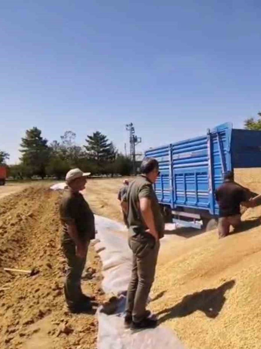 Konya’da TMO’dan 2 milyon tona yakın hububat alımı