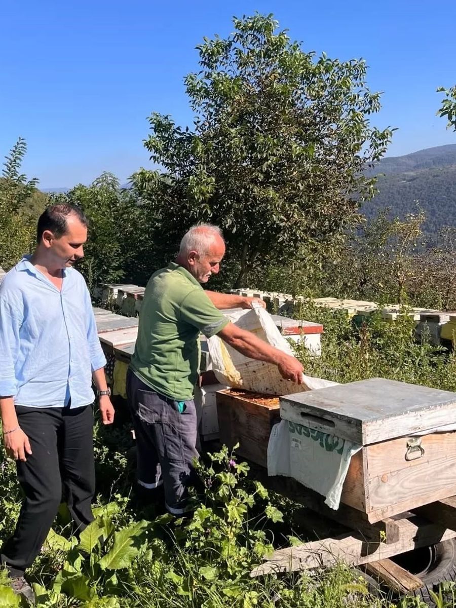 Yığılca’da arılı kovan tespit çalışması