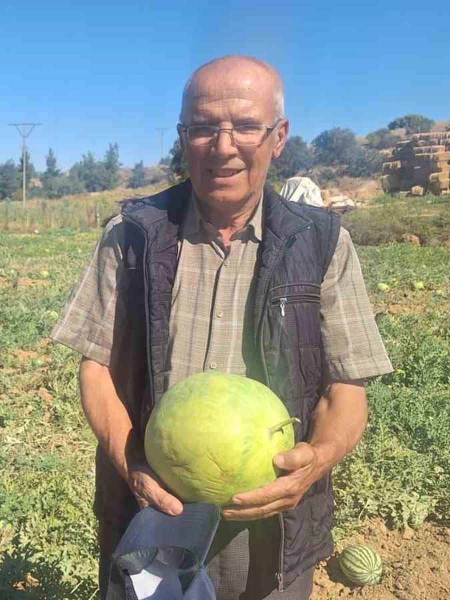 Manisalı çiftçi dede mirası ata tohumu karpuz geleneğini sürdürüyor