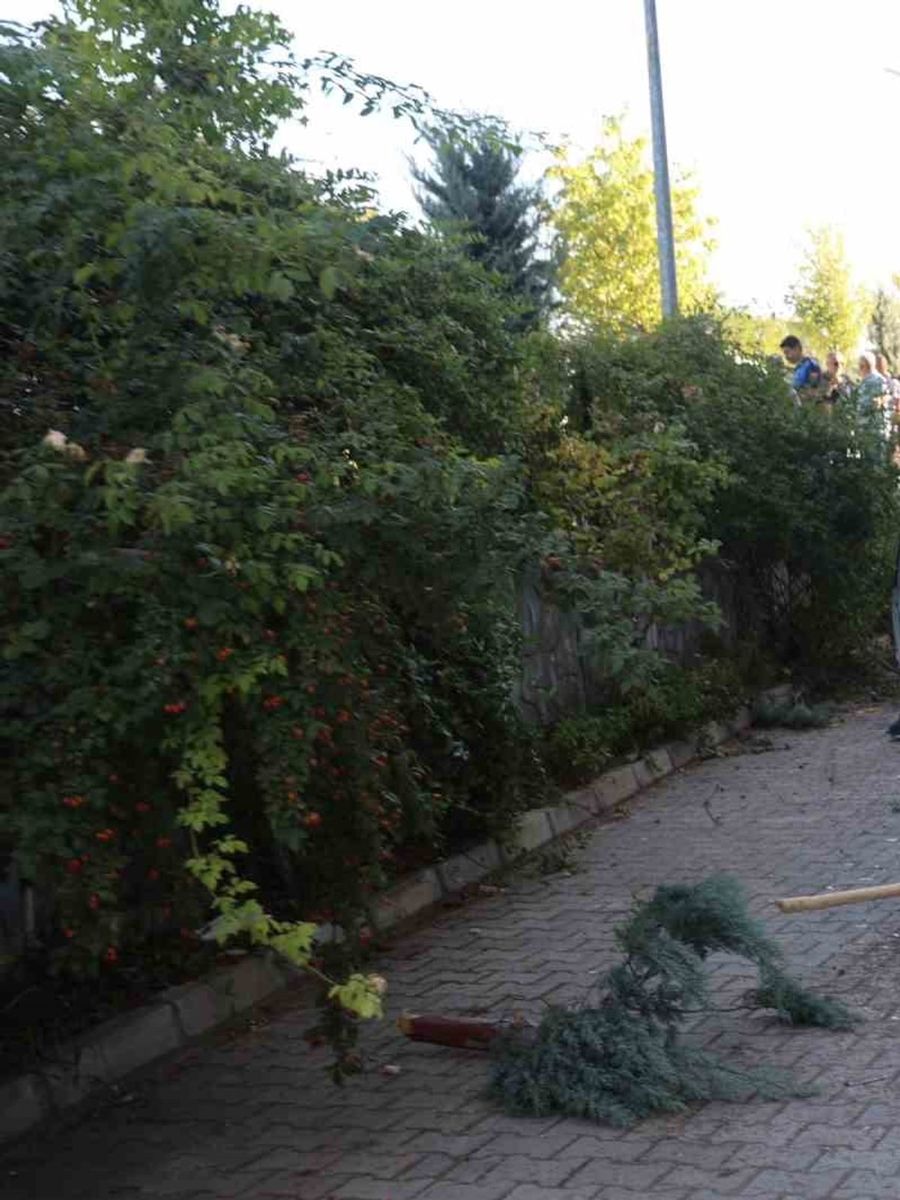 Kontrolden çıkan otomobil apartmanın bahçesine düştü: 1 yaralı