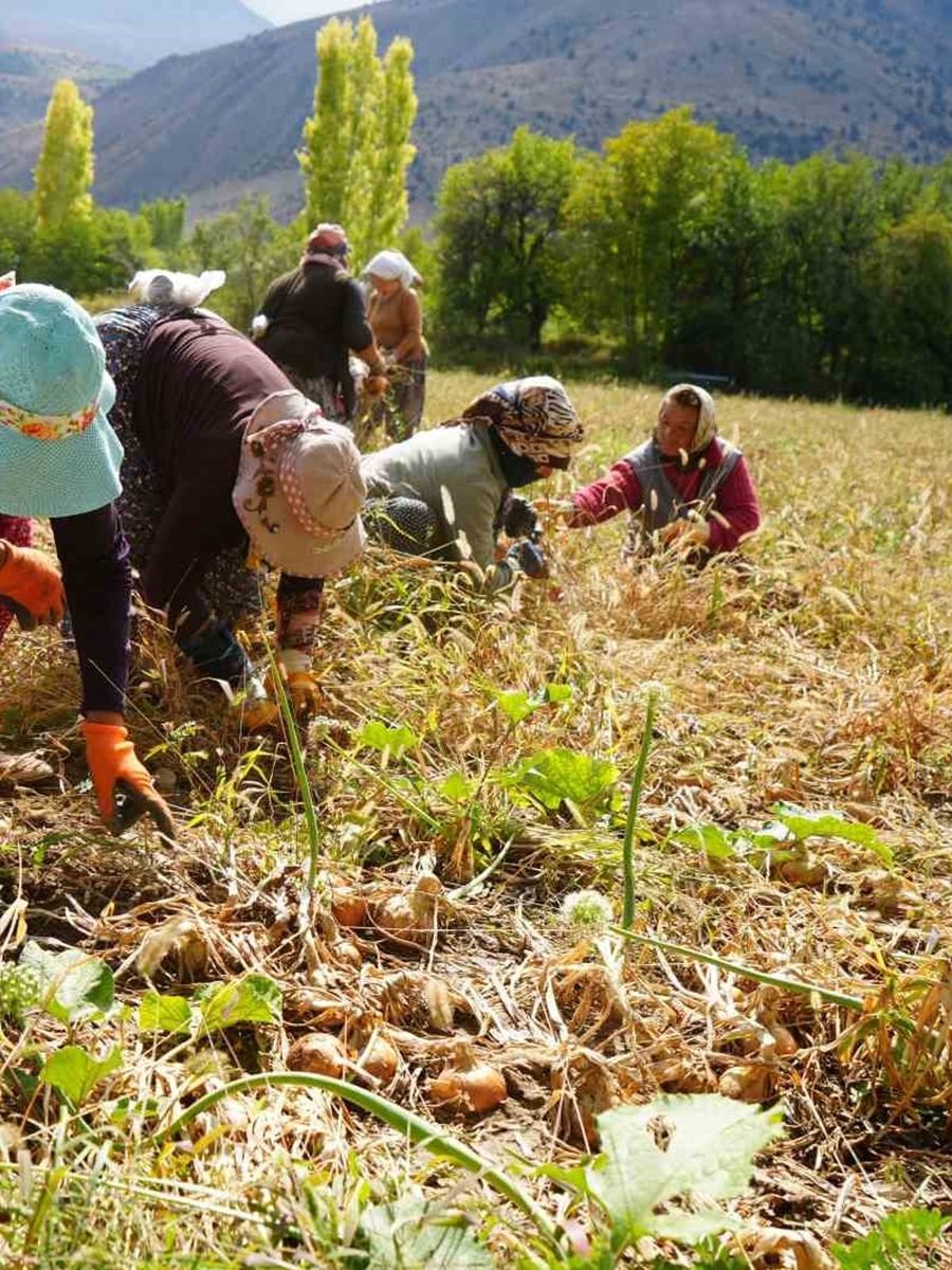Erzincan’a 169,6 milyon liralık tarımsal hibe desteği