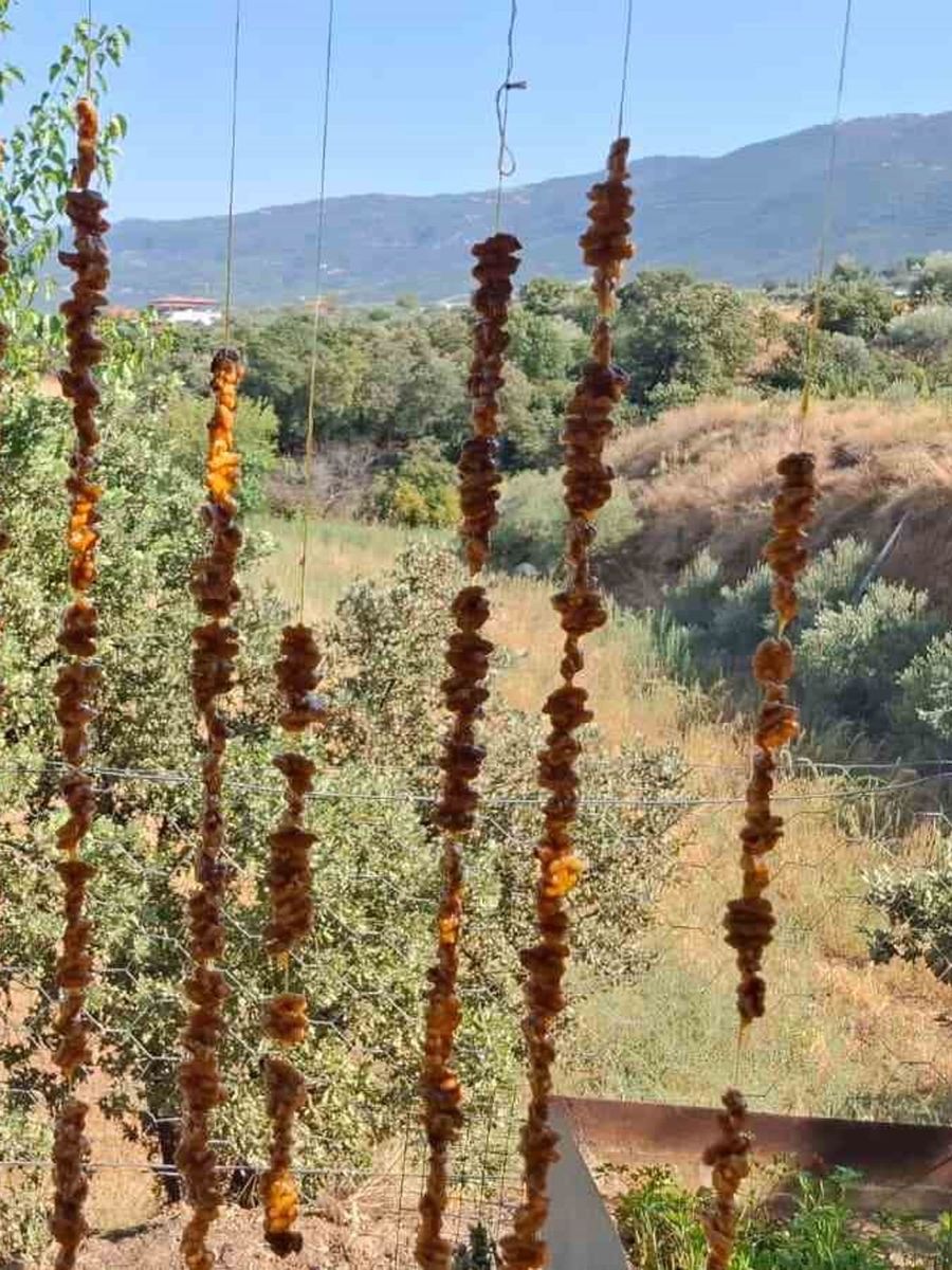 Sarıgöllü üretici çift çareyi cevizli sucukta buldu