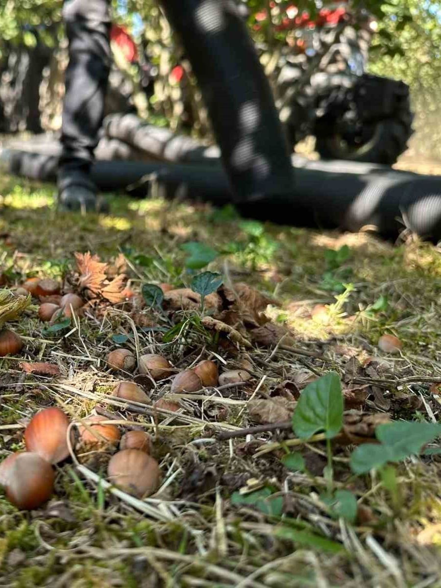 Düzce’de tarımsal üretim sahada yakından takip ediliyor