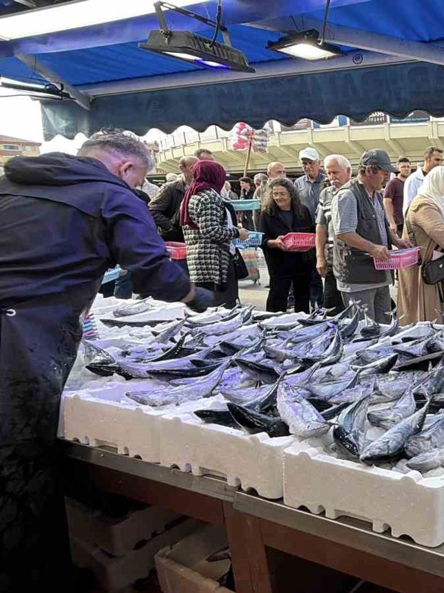 Bolu’da palamut ve hamsiye yoğun ilgi: Tezgahlarda metrelerce kuyruk oluştu