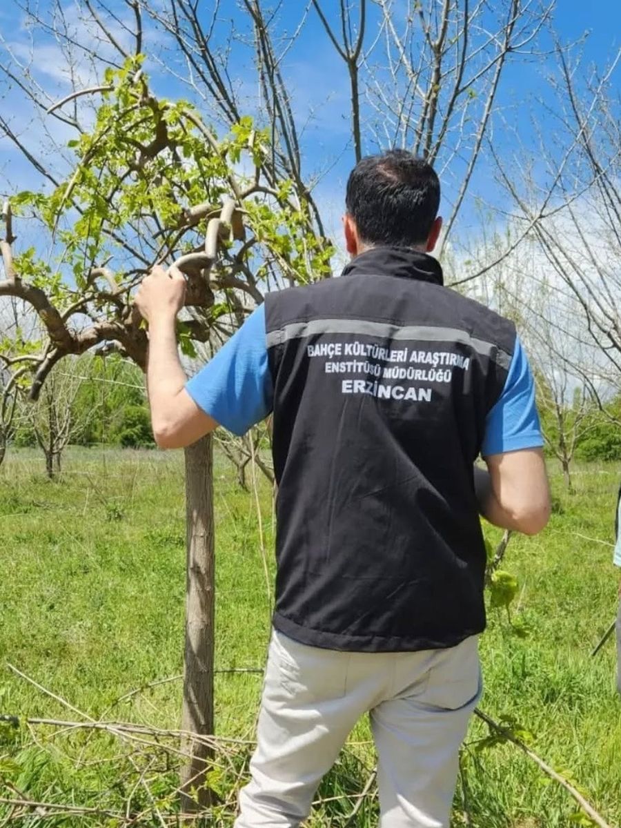 Erzincan’da çiftçilere sahada teknik destek
