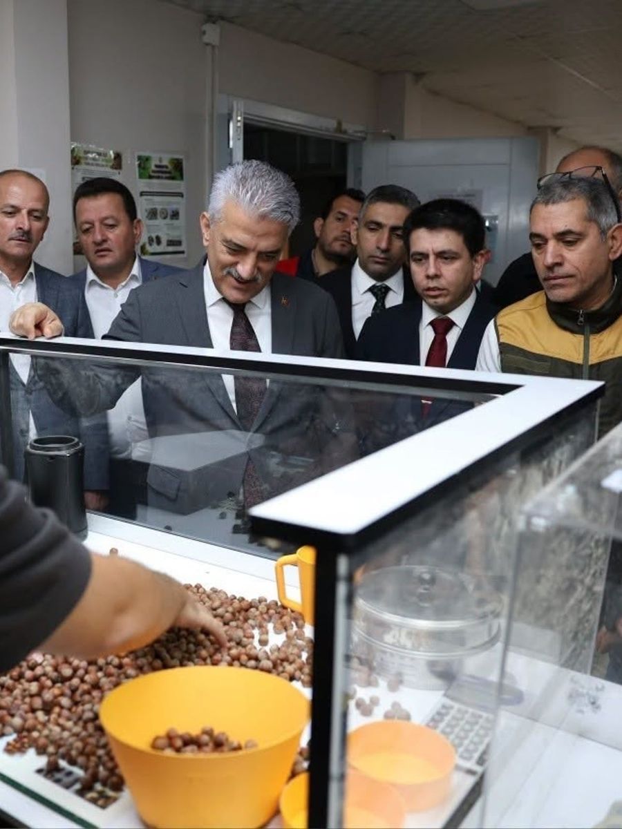 Vali Makas Çilimli’de TMO fındık alım merkezini inceledi